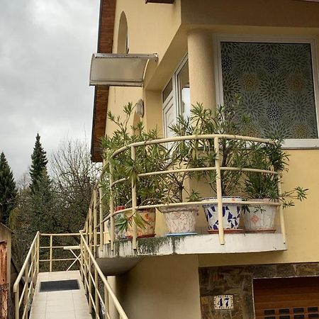 Apartman U Doktora Banská Bystrica Exteriör bild