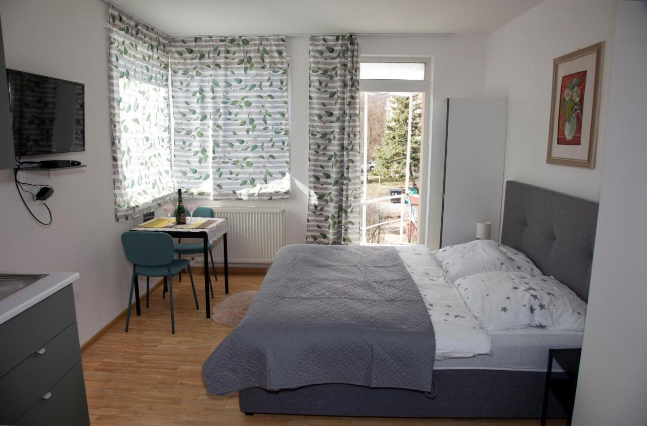 Apartman U Doktora Banská Bystrica Exteriör bild